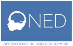 Logo du laboratoire NED