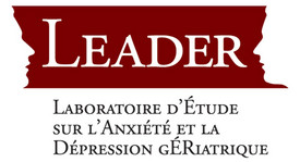 Logo du LEADER
